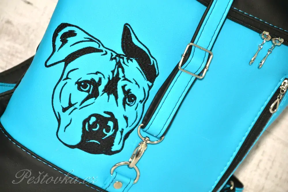 Peštovka Překlápěcí batoh Lucas *STAFORD* modrý