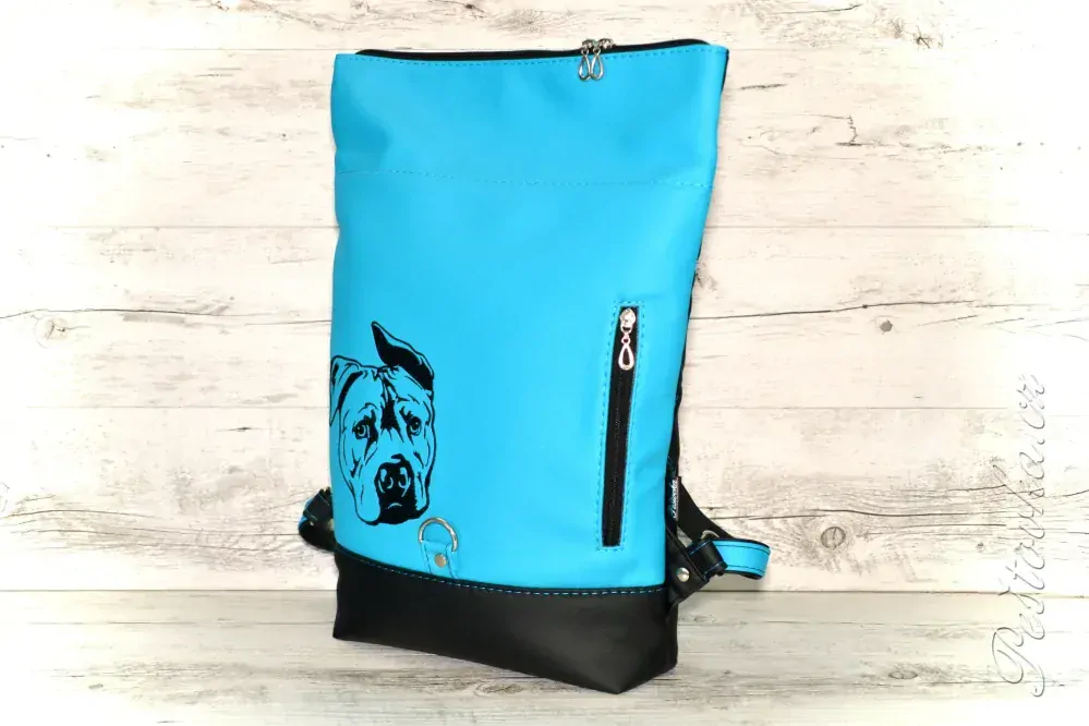 Peštovka Překlápěcí batoh Lucas *STAFORD* modrý