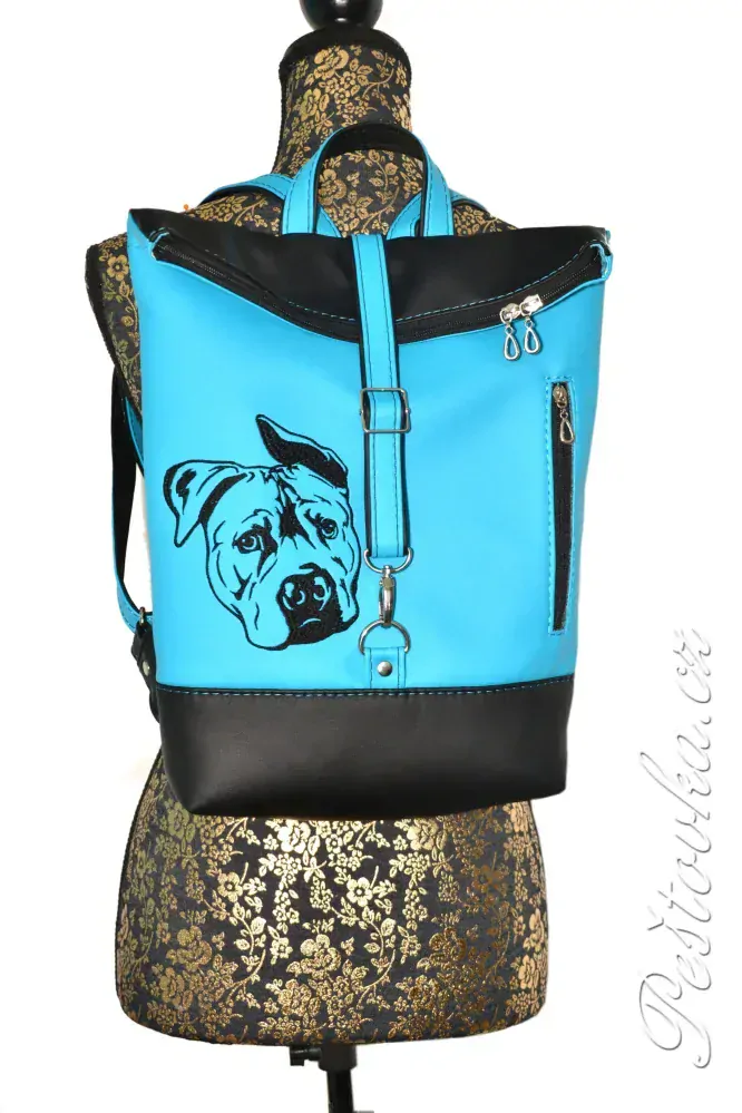 Peštovka Překlápěcí batoh Lucas *STAFORD* modrý