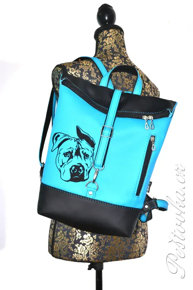 Peštovka Překlápěcí batoh Lucas *STAFORD* modrý