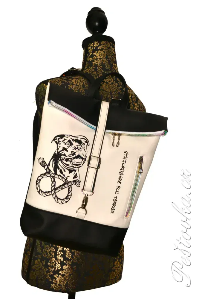 Peštovka - překlápěcí batoh Lucas LIMITED