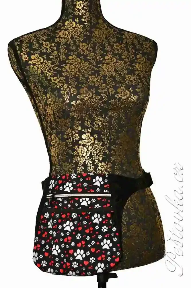 Peštovka ledvinka - pamlskovník DAYNA2 *tlapky a srdíčka*