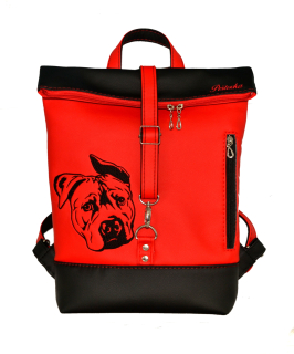 Peštovka Překlápěcí batoh Lucas *staford* červený