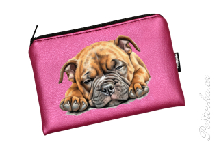 Peštovka kosmetické pouzdro INSIGNO * spící stafík* více barev