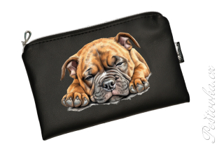 Peštovka kosmetické pouzdro INSIGNO * spící stafík* více barev