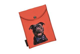 Peštovka - obal na očkovák - kapsička *stafík s motýlkem*