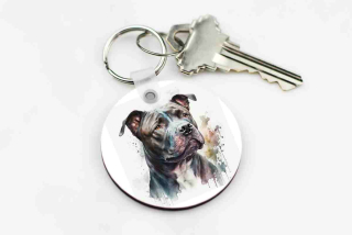 Přívesek na klíče Stafík