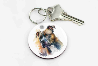 Přívesek na klíče Stafík