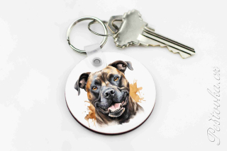 Přívesek na klíče Stafík