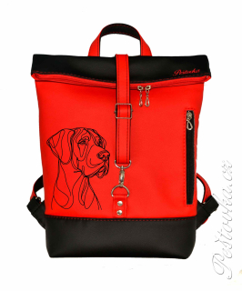 Peštovka Překlápěcí batoh Lucas *DOGA* více barev