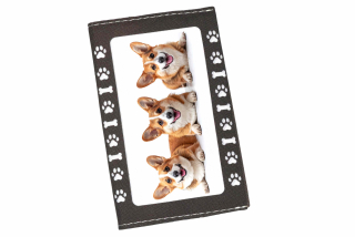 Peštovka Obal na očkovací průkaz *Welsh Corgi*
