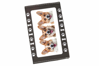 Peštovka Obal na očkovací průkaz *Welsh Corgi*