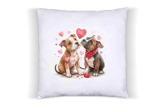 Peštovka - Polštář *Valentýn - stafík*