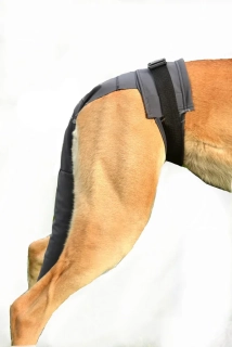 Peštovka Ochranný obal na ocas psa DOG